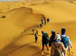 大漠吃瓜客,揭秘沙漠中的美食传奇