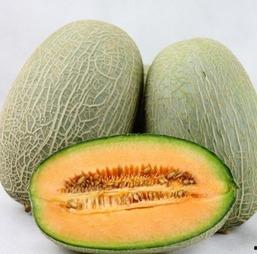 蛋仔哈密瓜吃哈密瓜玩具,趣味玩具中的甜蜜冒险之旅