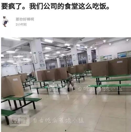 自由吃瓜基地 小组,揭秘网络社交圈的欢乐盛宴