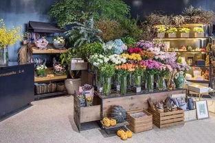 汤阴花店吃瓜事件,一场引发热议的误会风波