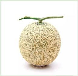 小楠瓜吃瓜群众,瓜界新宠，吃瓜群众的热议焦点