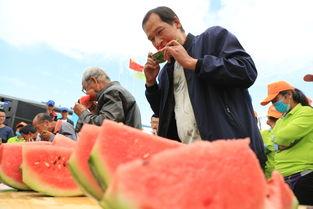 平舆县吃瓜,瓜果飘香，品味田园生活