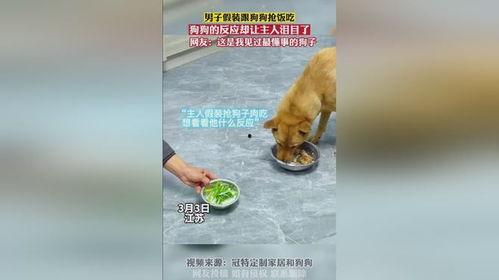 男人跟狗吃瓜喂狗吃,温馨一幕见证人犬情深