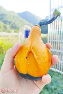 宝妈在线吃瓜,揭秘育儿圈那些事儿