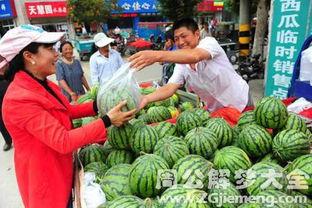 梦见吃自己买的瓜