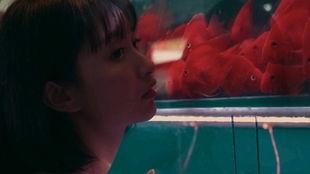 吃瓜少女邮递员,吃瓜少女邮递员的甜蜜奇遇记