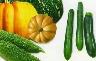 豆瓣吃瓜宝,揭秘娱乐圈幕后真相，带你领略明星生活