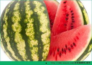 不上班吃老瓜,揭秘“老瓜”生活新境界