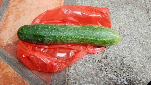 有什么瓜可吃,盘点时令瓜果，畅享清凉美味