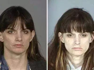 吃瓜小熊日,揭秘熊界美食狂欢背后的故事