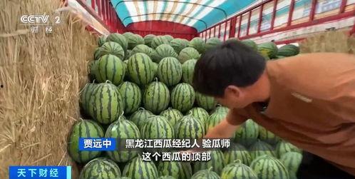 许昌疫情吃瓜拍照图片,吃瓜拍照，记录战“疫”瞬间