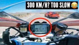 兰博看吃瓜,揭秘娱乐圈幕后真相