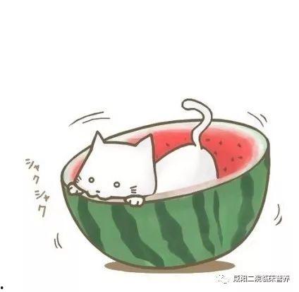 qq动漫头像吃瓜,揭秘二次元世界的趣味瞬间