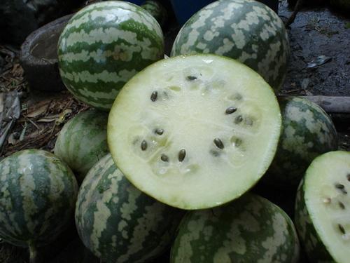 绿宝干瓜咋吃的,轻松解锁美味新体验