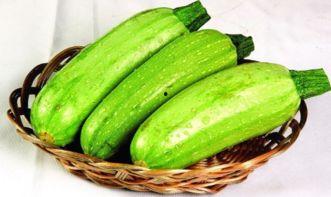 鸵鸟吃不吃西葫芦瓜,揭秘它们是否享用西葫芦瓜