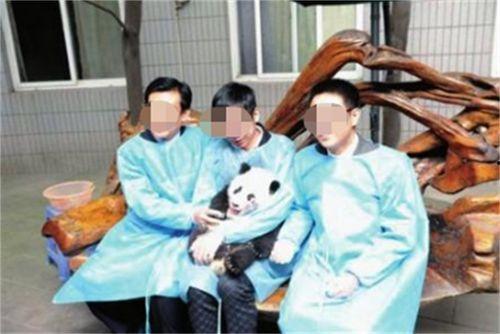 吃瓜群众唏嘘不已