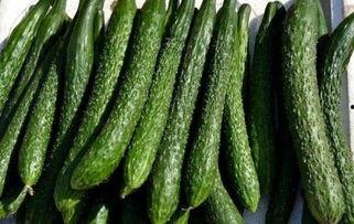 y吃瓜能减肥吗,揭秘瓜类食品的神奇瘦身效果