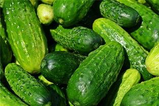 梦到吃洋瓜,洋瓜美食之旅