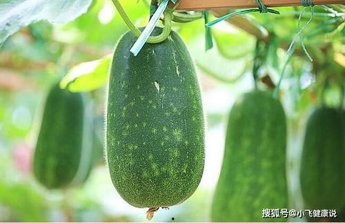 女性向吃瓜,揭秘娱乐圈那些鲜为人知的“吃瓜”事件