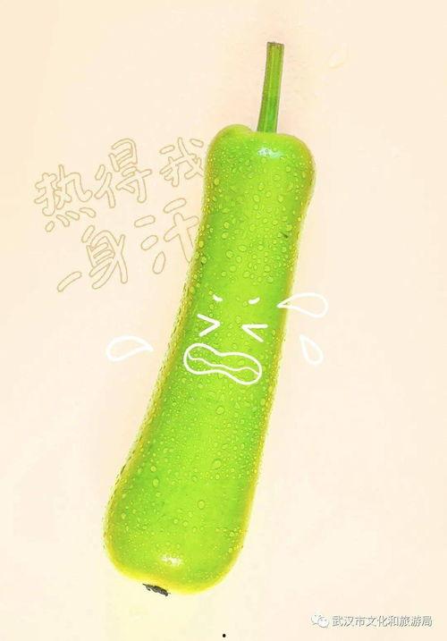 武汉学校吃瓜,揭秘校园里的那些“热辣”话题