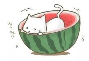 吃瓜球娃,揭秘娱乐圈的甜蜜与苦涩