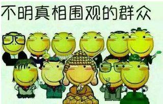 吃瓜群众3511,一场全民参与的娱乐盛宴